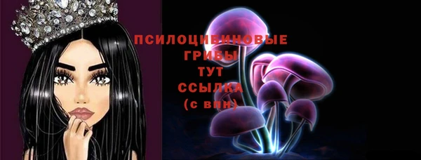 мдпв Верхний Тагил