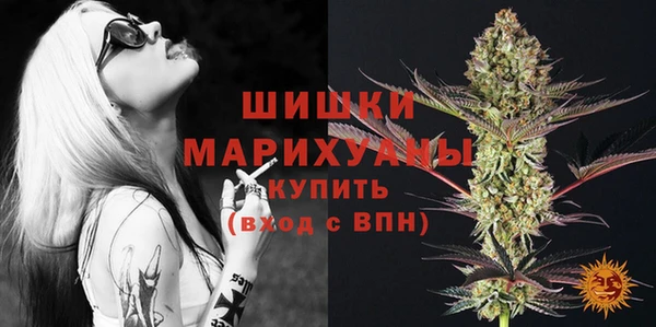 мдпв Верхний Тагил