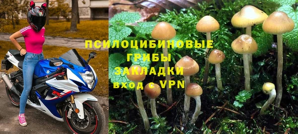 мдпв Верхний Тагил