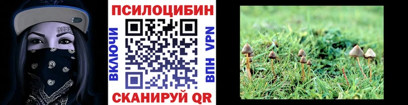 omg онион  маркетплейс телеграм  Псилоцибиновые грибы Cubensis  Горбатов 